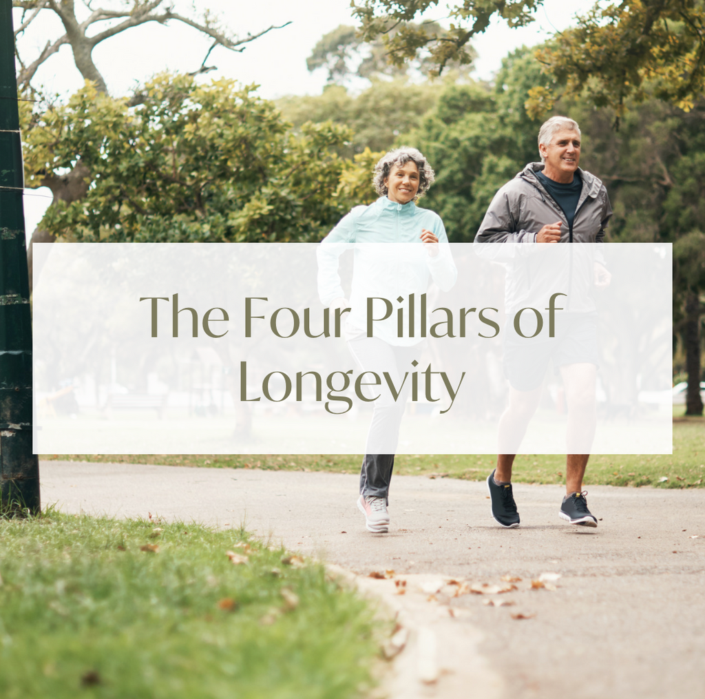 The Four Pillars of Longevity